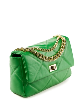 Geanta Career, Verde culoare