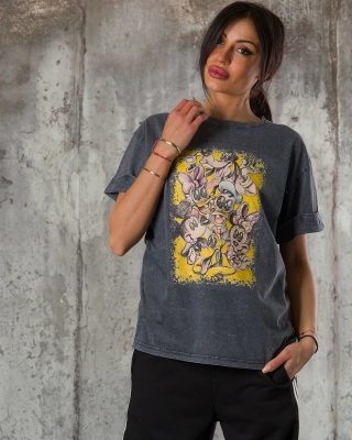 Tricou All The Characters, Culoare gri