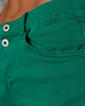 Pantaloni scurți Notorious, Verde culoare
